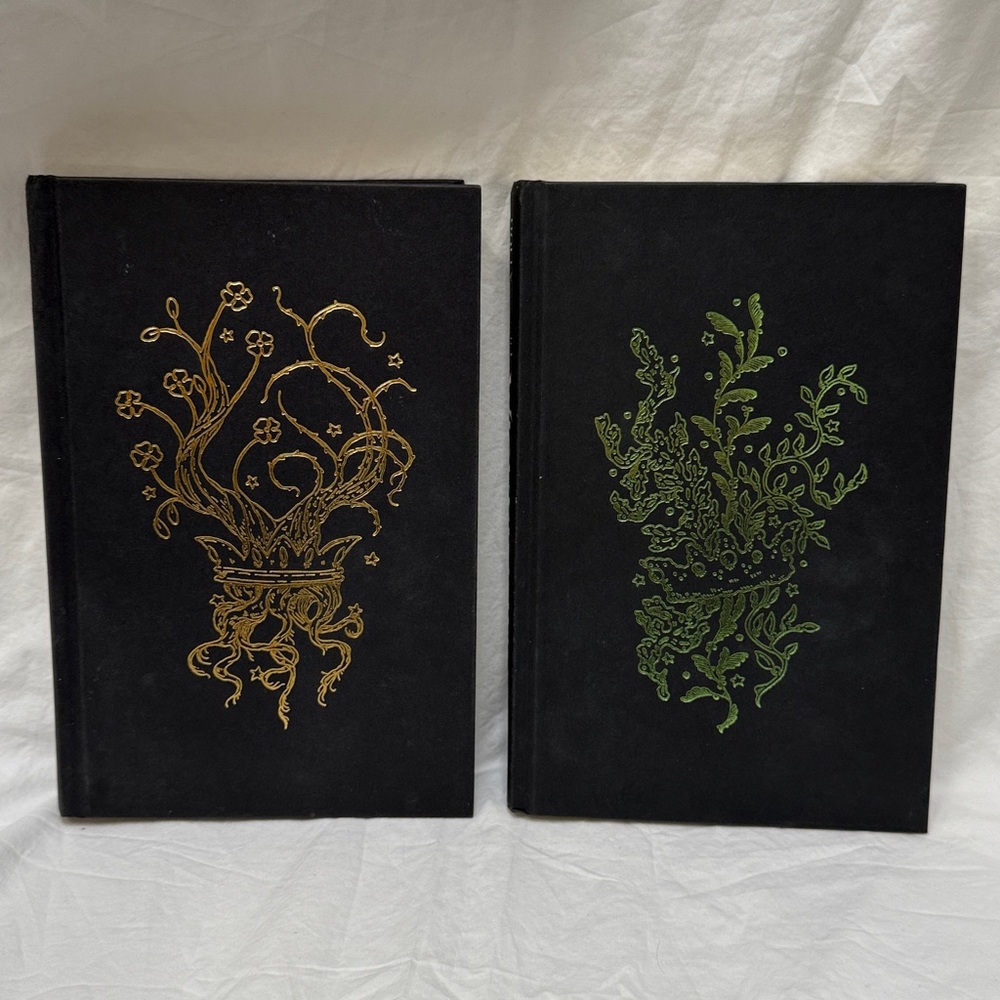 “The Cruel Prince” & “The Wicked King” Hardcover Fantasy Book Set by Holly Black - Picture 3 of 16